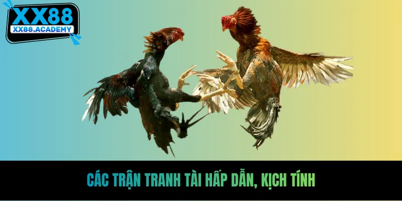 Các trận tranh tài hấp dẫn, kịch tính
