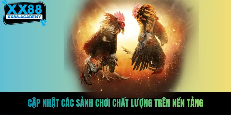 Cập nhật các sảnh chơi chất lượng trên nền tảng