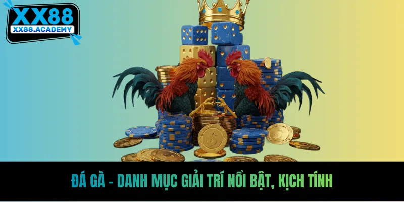 Đá gà - Danh mục giải trí nổi bật, kịch tính