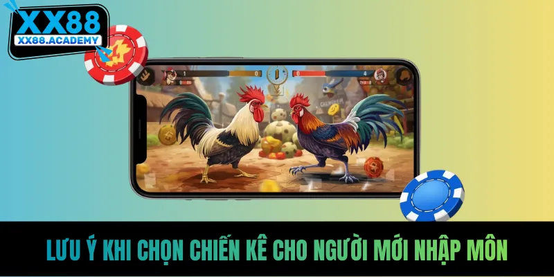 Lưu ý khi chọn chiến kê cho người mới nhập môn